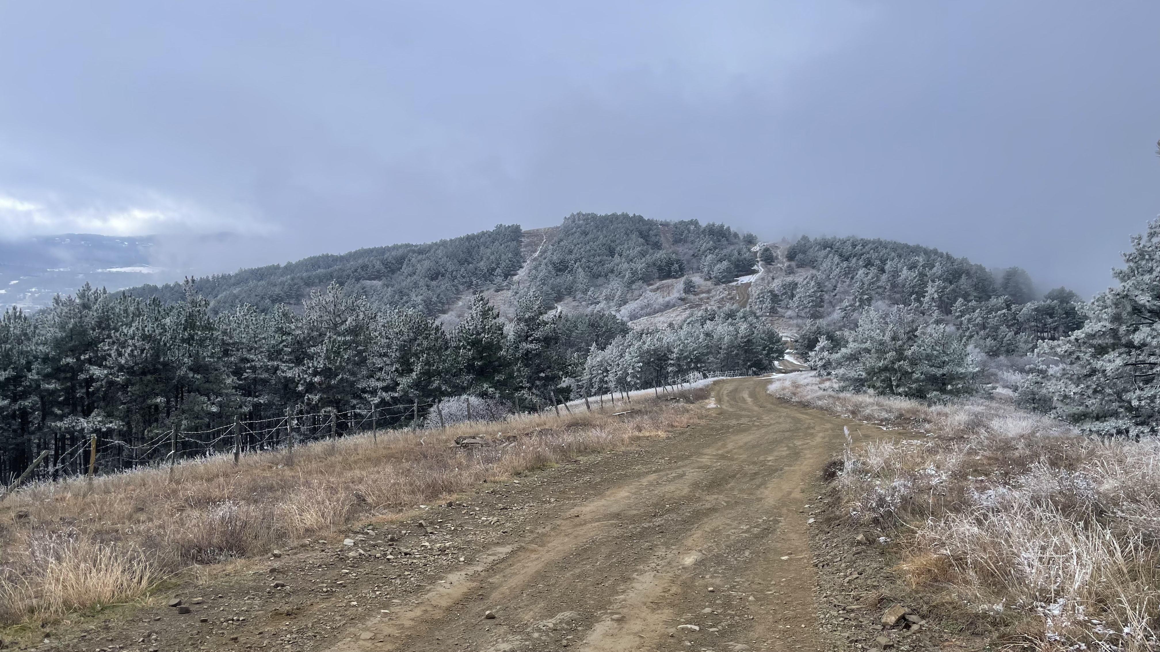 Week 5 - Getting back to normal