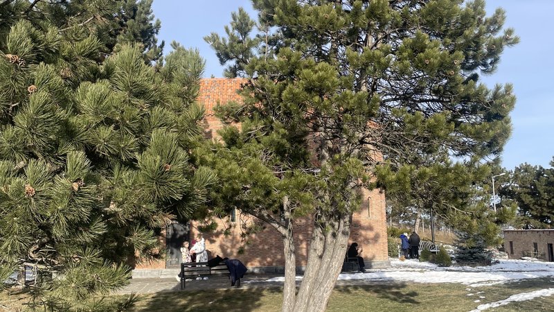 Week 6 - Active recovery