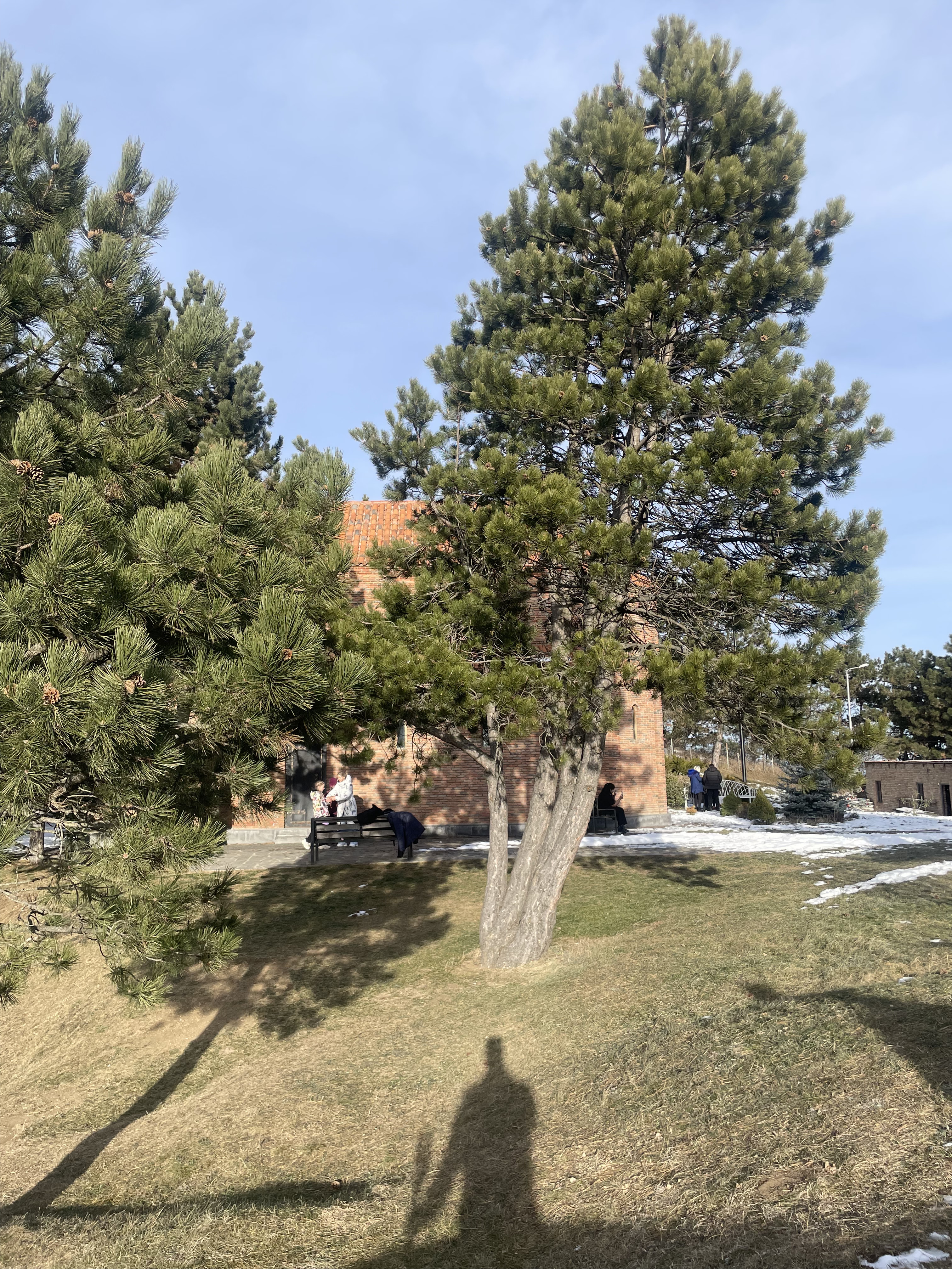 Week 6 - Active recovery